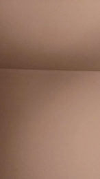 SusieRedd webcam model stream image