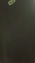 Meiner webcam model stream image