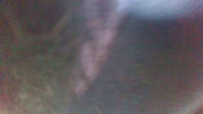 denni39 webcam model stream image