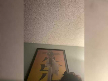 TheDime webcam model stream image