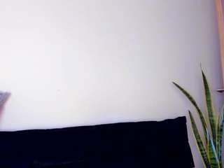 iriss-25 webcam model stream image
