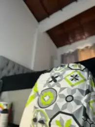 emiss_ webcam model stream image