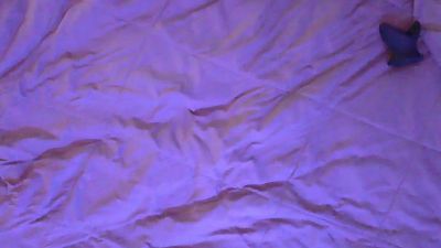 pnpshortyxxx webcam model stream image