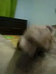 Josephfas webcam model stream image