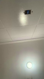 Carolhotm webcam model stream image