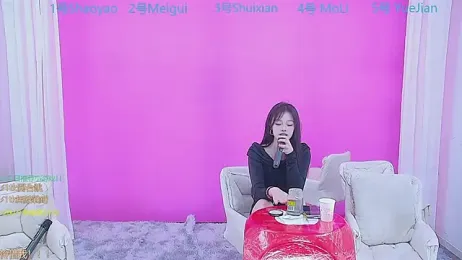 YY2222 webcam model stream image