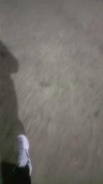 intelcoree1 webcam model stream image