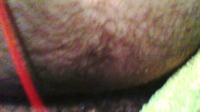 perokepasa webcam model stream image