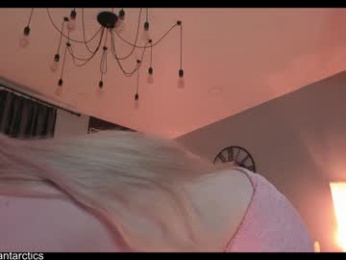 antarctic_ webcam model stream image