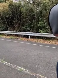 shin_04ji webcam stripchat model stream image