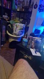 Stephano53 webcam model stream image