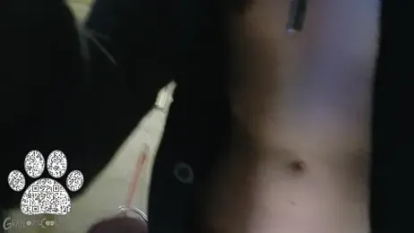 graylovescookies webcam model stream image