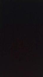 Ilupoelalupa webcam cam4 model stream image