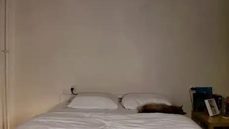 Milky___Way webcam model stream image