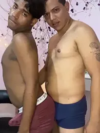 Loaisn webcam model stream image