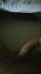 Davideasso3 webcam model stream image