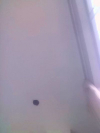HyogaDante webcam model stream image