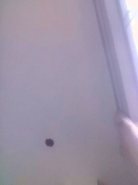HyogaDante webcam model stream image