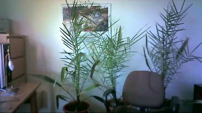 extremehotsexy webcam model stream image