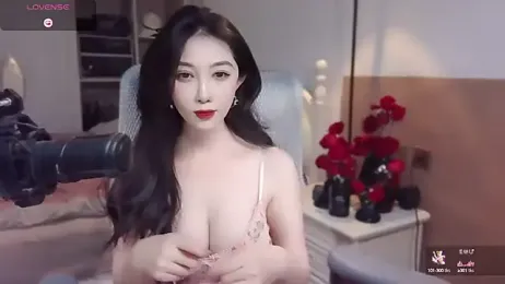 vyizh- webcam model stream image