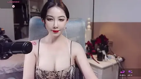 vyizh- webcam model stream image