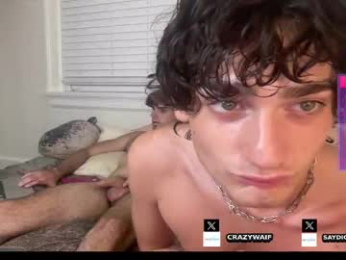 crazywaif webcam model stream image