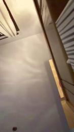 renzinho3 webcam model stream image