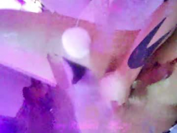 playboyrabbit369 webcam model stream image