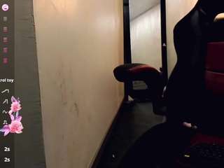 rosedewitt webcam model stream image