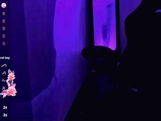 rosedewitt webcam model stream image