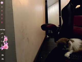 rosedewitt webcam model stream image