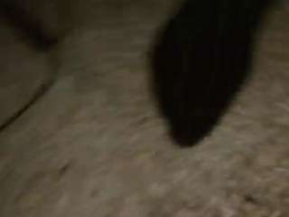 showingoff402 webcam model stream image