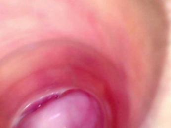 Shannon-kane webcam model stream image