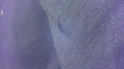 hans_blank1 webcam model stream image