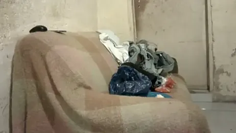 FeeingSplicing webcam model stream image