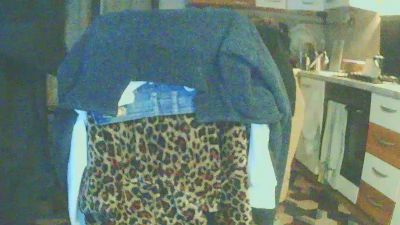 Sophitrans webcam model stream image