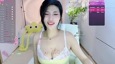 Vaidurya-Yolo webcam model stream image