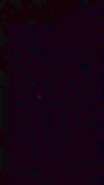 JuanElDulce1 webcam model stream image