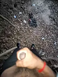 breejs webcam model stream image
