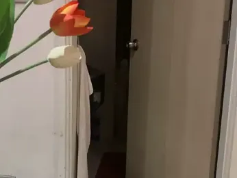 alpsXsiberia webcam model stream image