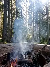 FastBoy00 webcam model stream image