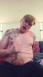MrMorningWood webcam model stream image