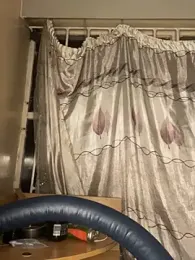 BBC_CHIEF webcam model stream image