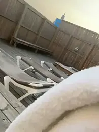 PurpHoney23 webcam model stream image