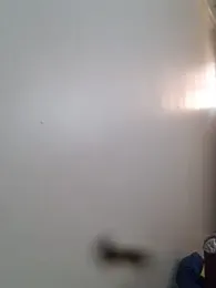 BriannaVincent webcam model stream image