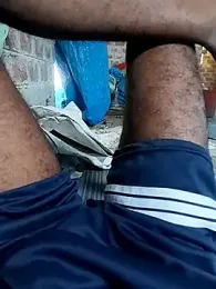 Bengali_BULL1 webcam model stream image