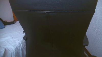 xDannfun webcam model stream image