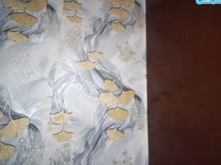 tweezzy webcam model stream image