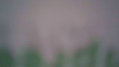 pet_bras webcam model stream image