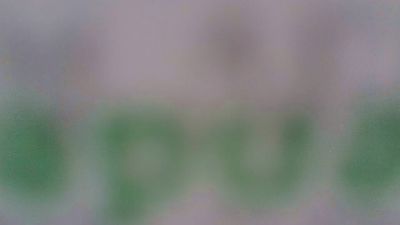 pet_bras webcam model stream image